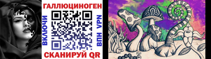 Купить где  Химки  Галлюциногенные грибы Psilocybe 